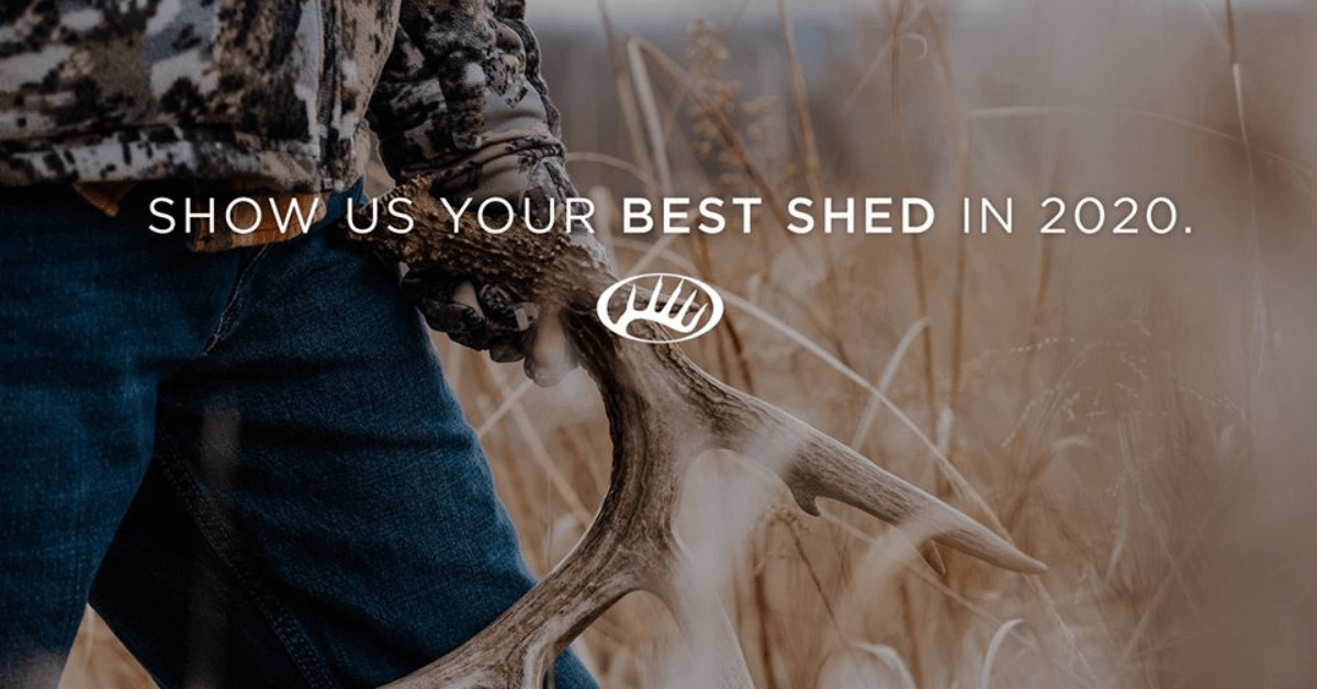 Basic Tips for Hunting Deer Sheds This Spring